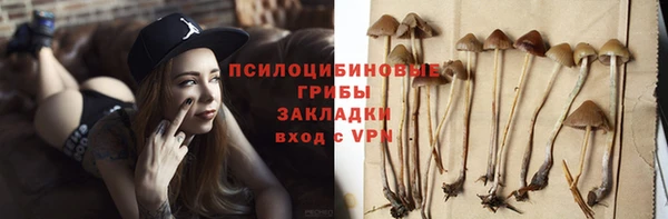 a pvp Сатка
