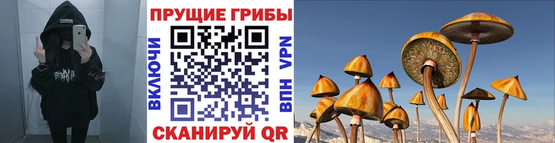 закладки  MEGA ONION  Галлюциногенные грибы ЛСД  Лагань 